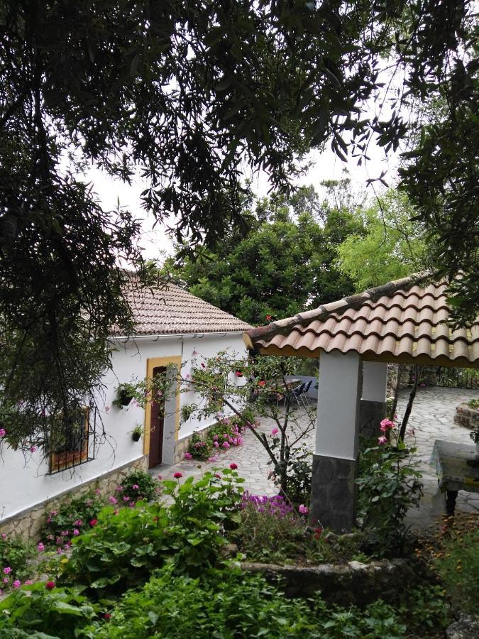 Villa Casa El Cerro El Bosque Exterior foto